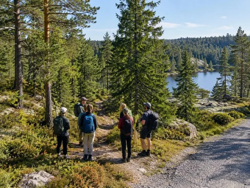 Nuuksio half-day tour by train and bus, with a biologist as guide